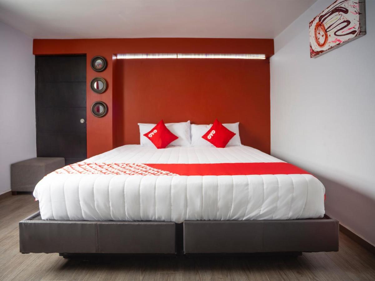 Adhoc Express Otel Monterrey Dış mekan fotoğraf